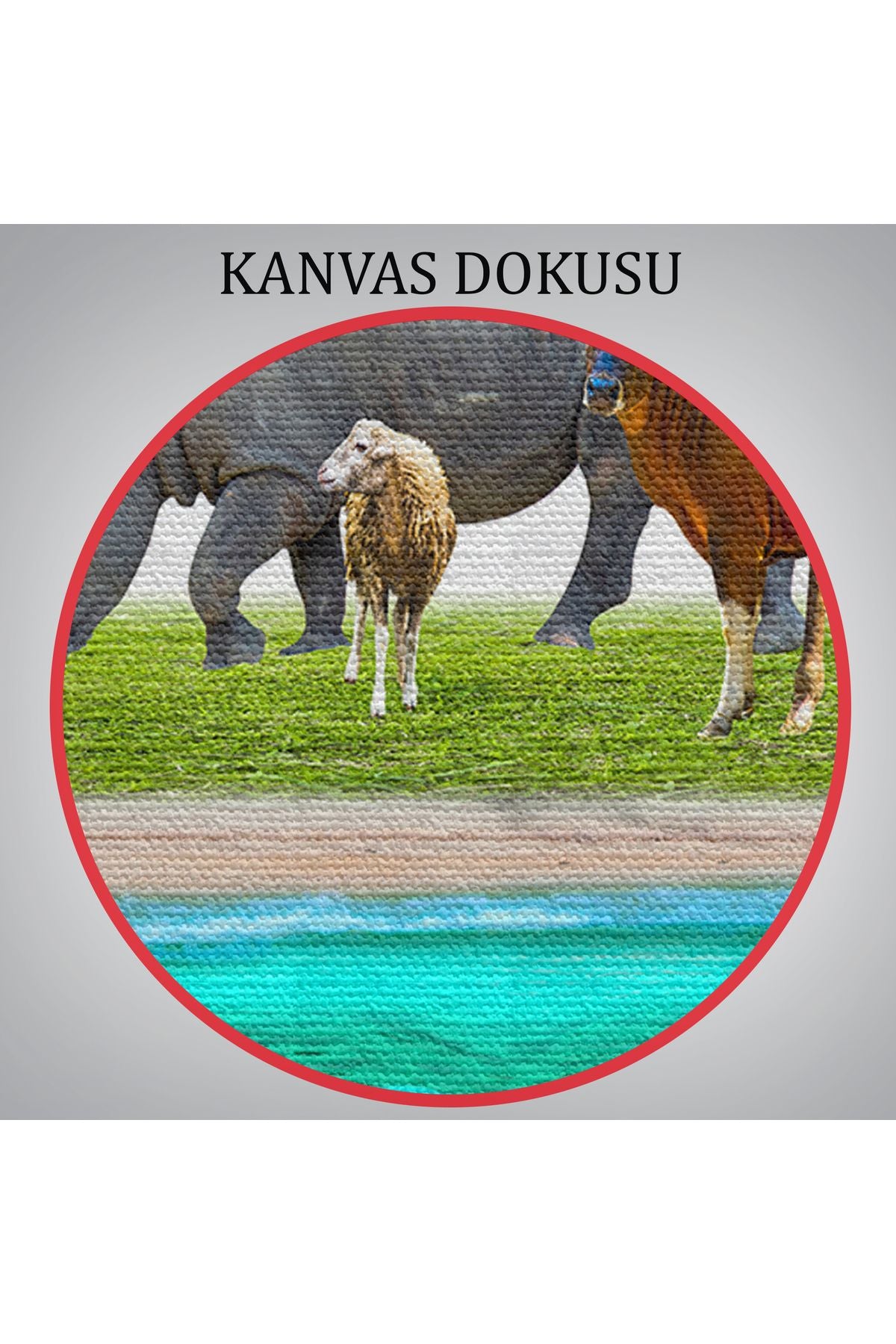 Özel Tasarım, Dekortif  BaskıHayvanlar Alemi Dekoratif Kanvas Tablo 1177