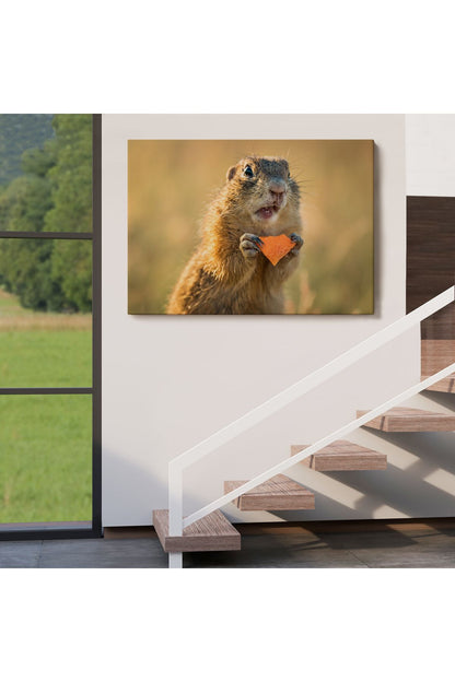 Şaşkın Sincap Dekoratif Kanvas Tablo 1158