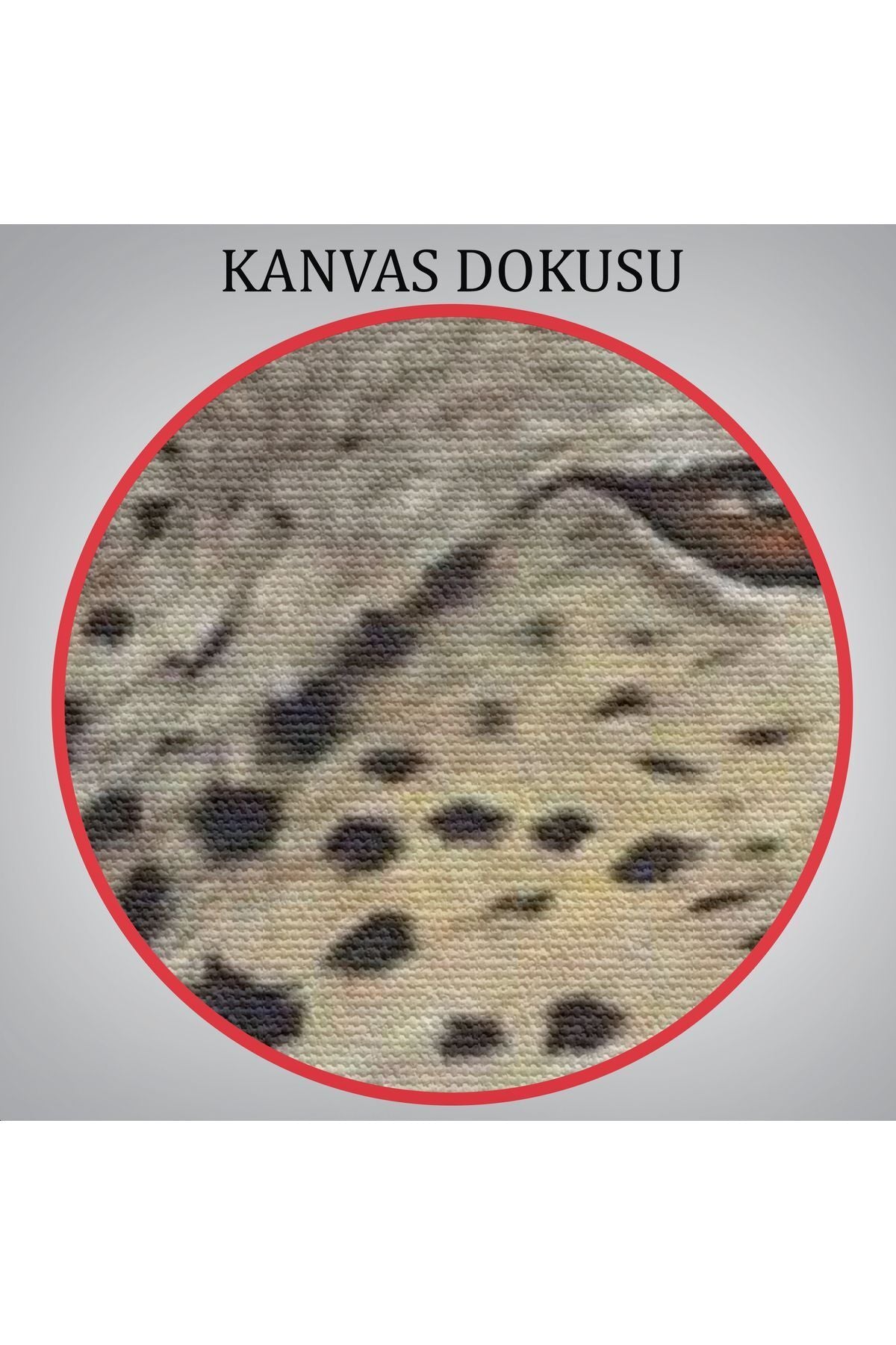 Çiçek Taçlı Sosyetik Çita Tablosu, Kokoş Çıta-6212