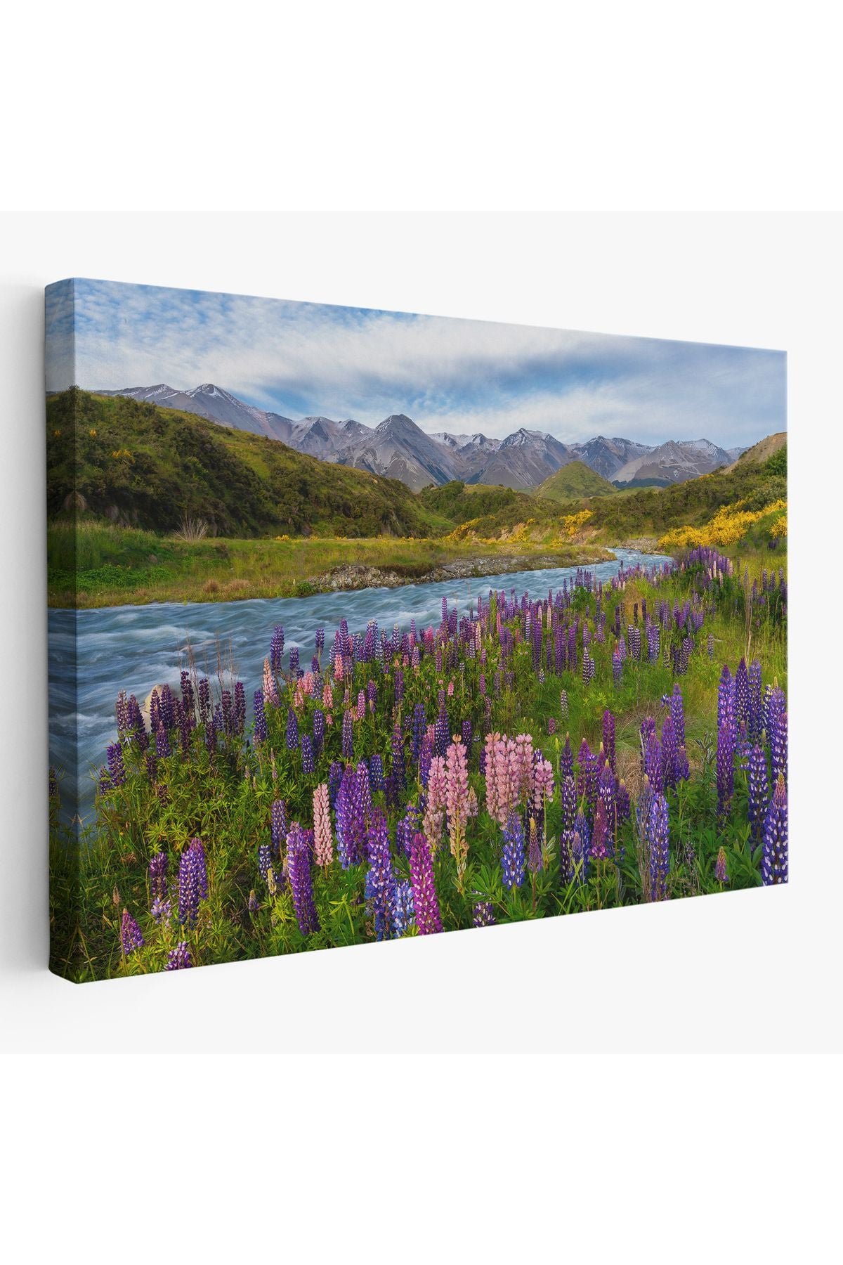 Nehir Dağ ve Mor Acı Bakla Çiçekleri Manzarası Duvar Tablosu-3759