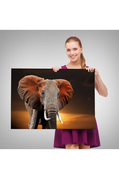 Fil Dekoratif Kanvas Tablo 1167