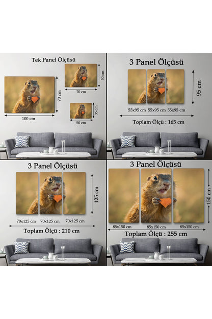 Şaşkın Sincap Dekoratif Kanvas Tablo 1158