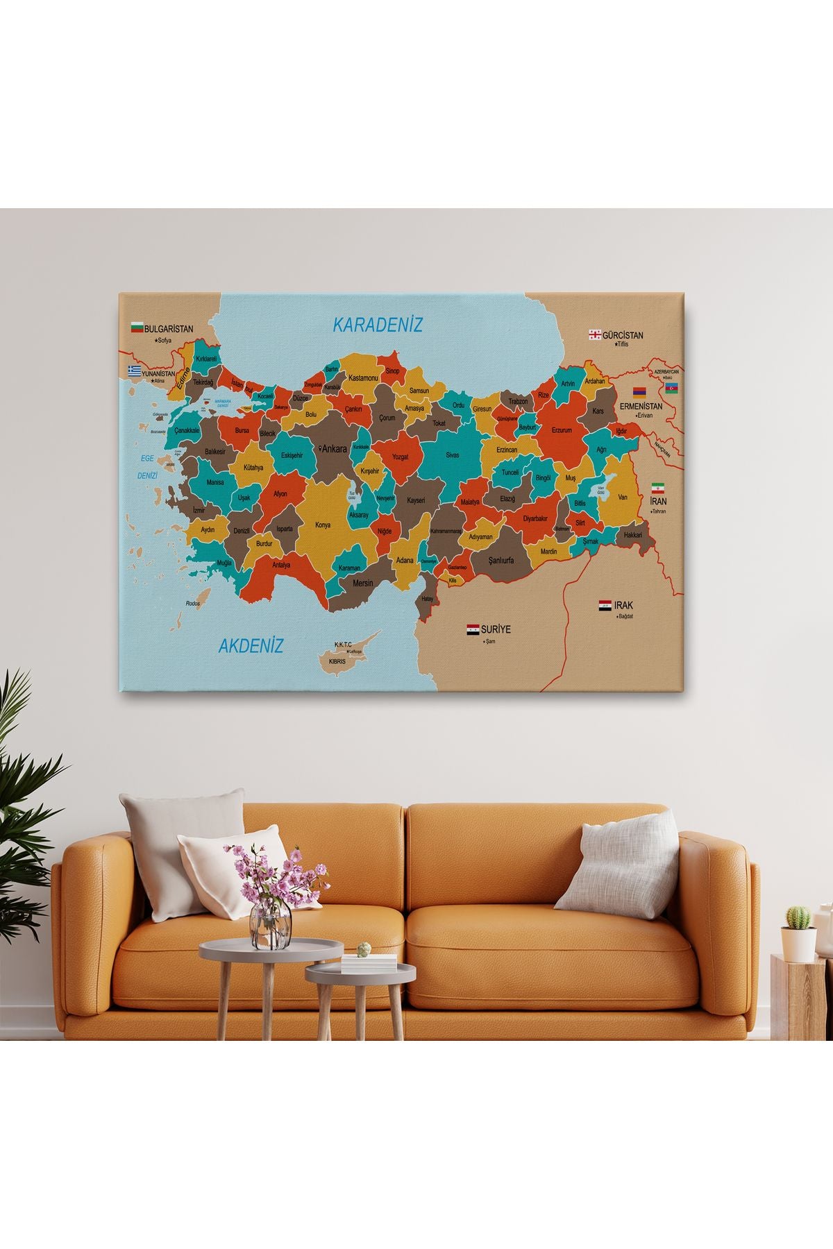 Türkiye Haritası Kanvas Tablo Sınır Komşulu Eğitici Dekoratif Tablo 3094