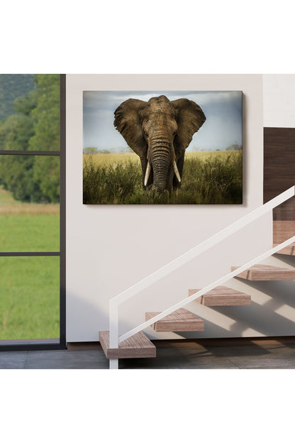 Fil Dekoratif Kanvas Tablo 1121