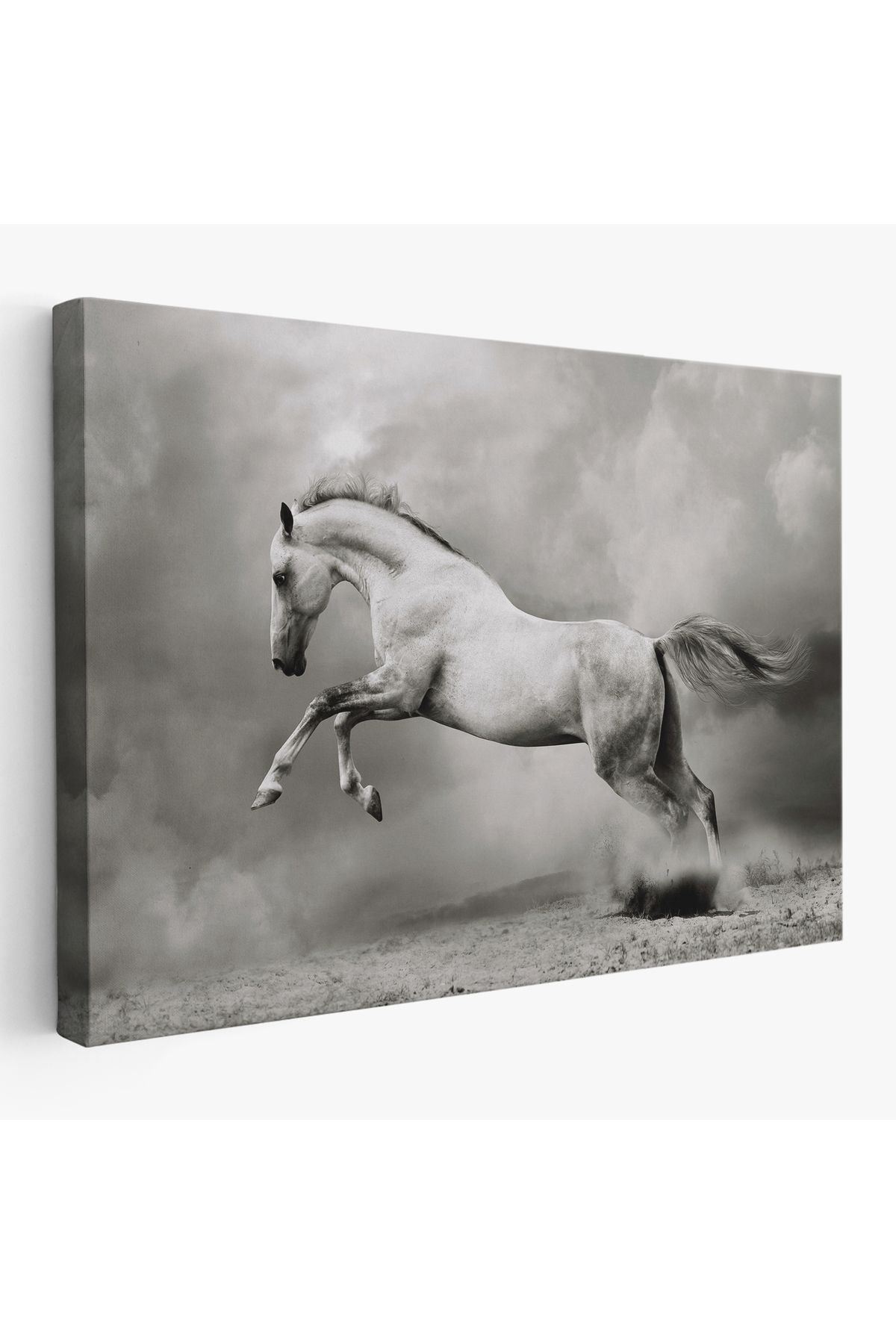 Özel Tasarım, Dekortif BaskıÇöldeki Beyaz At Tablosu-6598