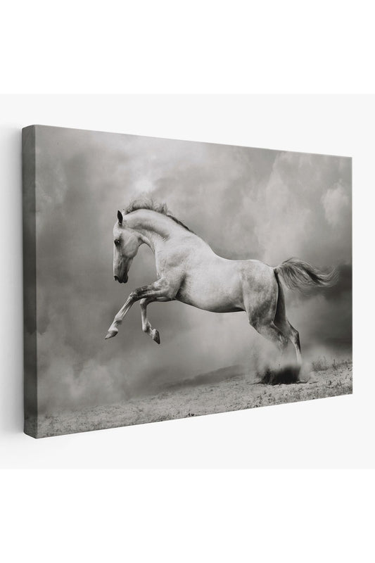 Özel Tasarım, Dekortif BaskıÇöldeki Beyaz At Tablosu-6598