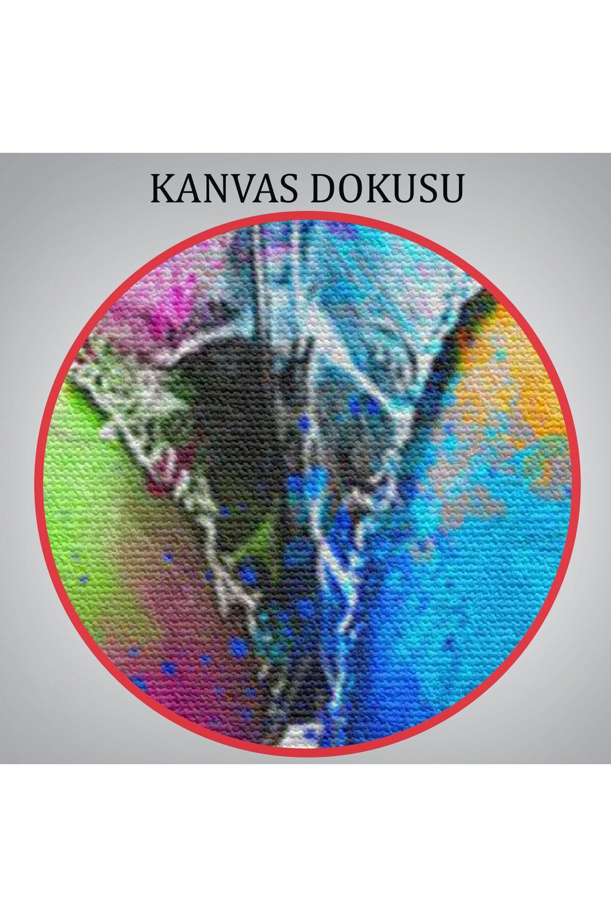 Renkli Kadın Poposu Kanvas Tablo-5894