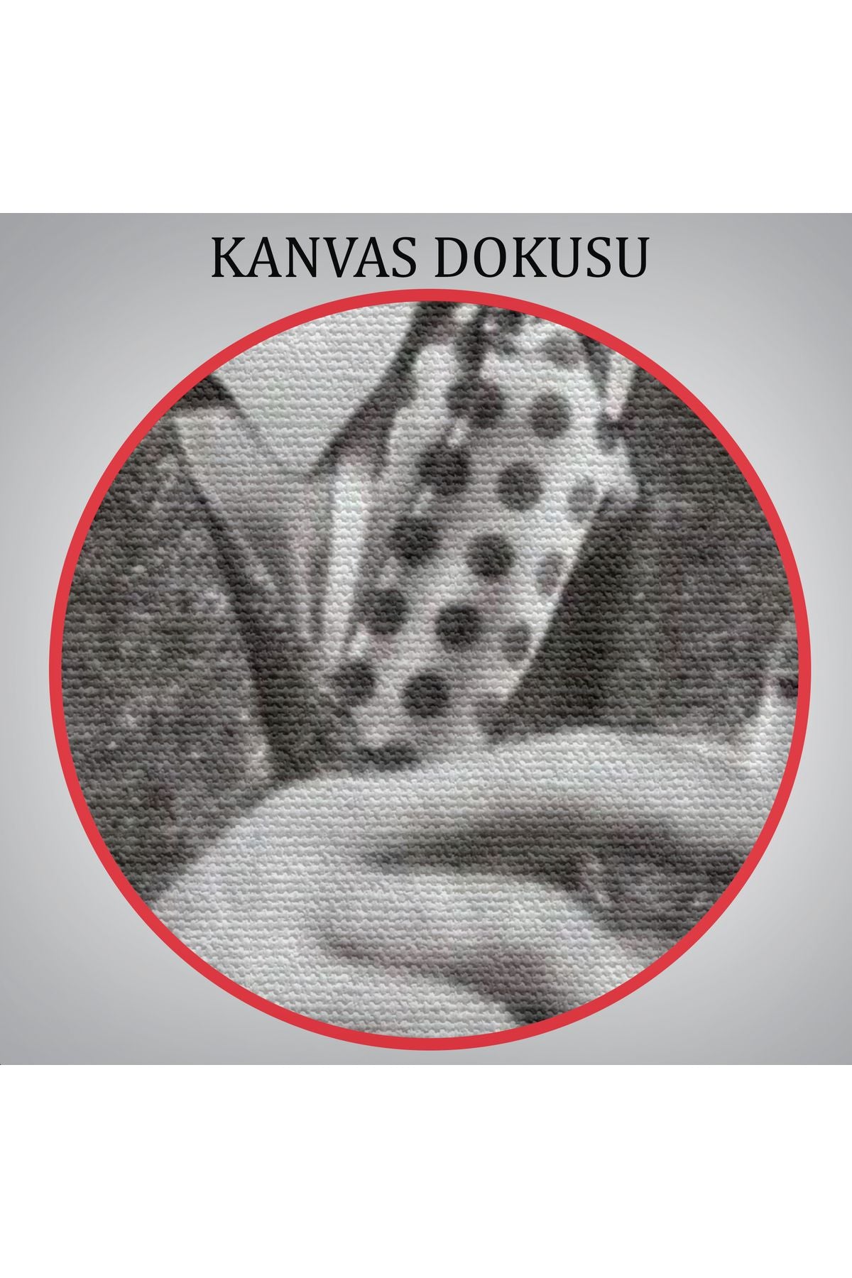 Atatürk'ün Doğu Ekspresinde Fotoğrafı Duvar Tablosu-6222