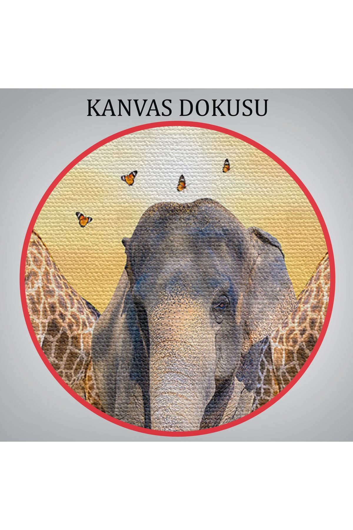 YB Hayvanlar Alemi Dekoratif Kanvas Tablo 1180