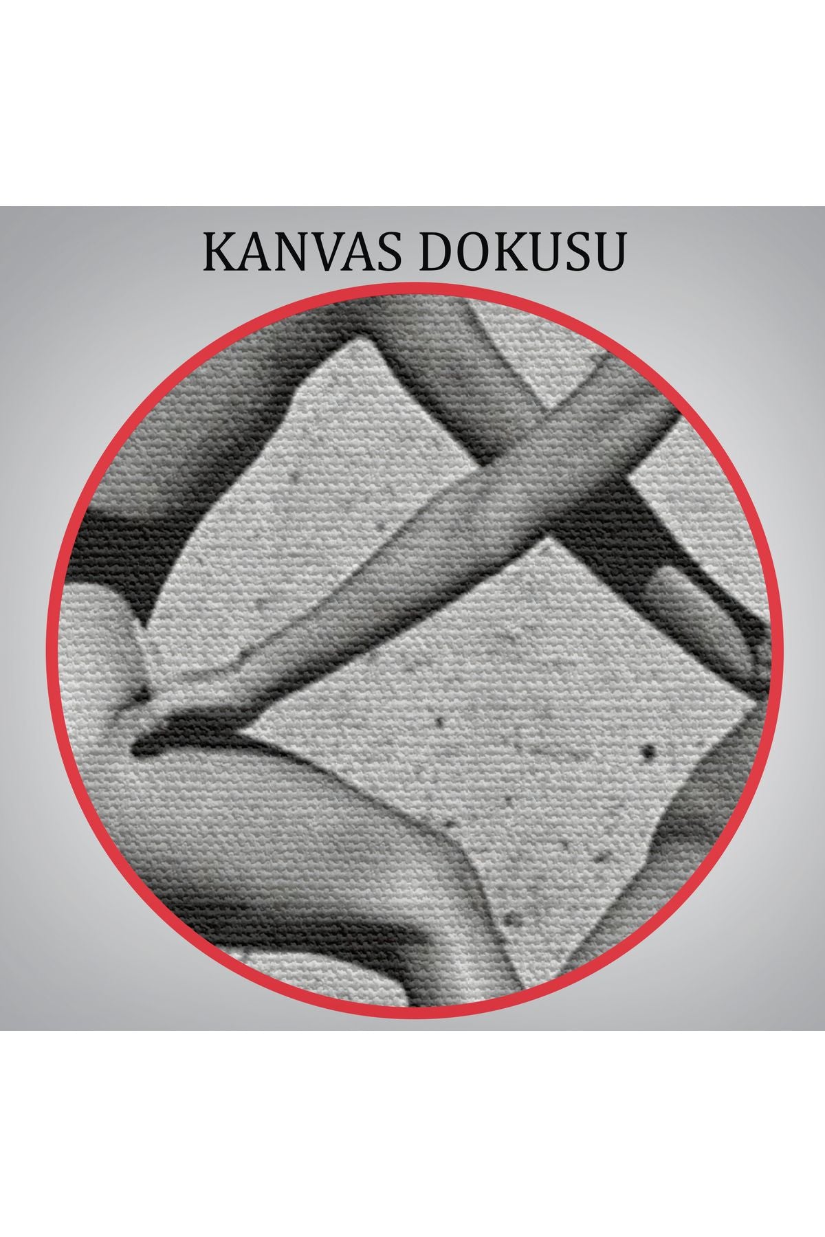 Helmut Newton Moda Rudi Gernreich, Miami 1975-6584