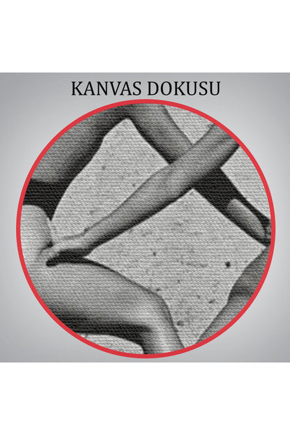 Helmut Newton Moda Rudi Gernreich, Miami 1975-6584