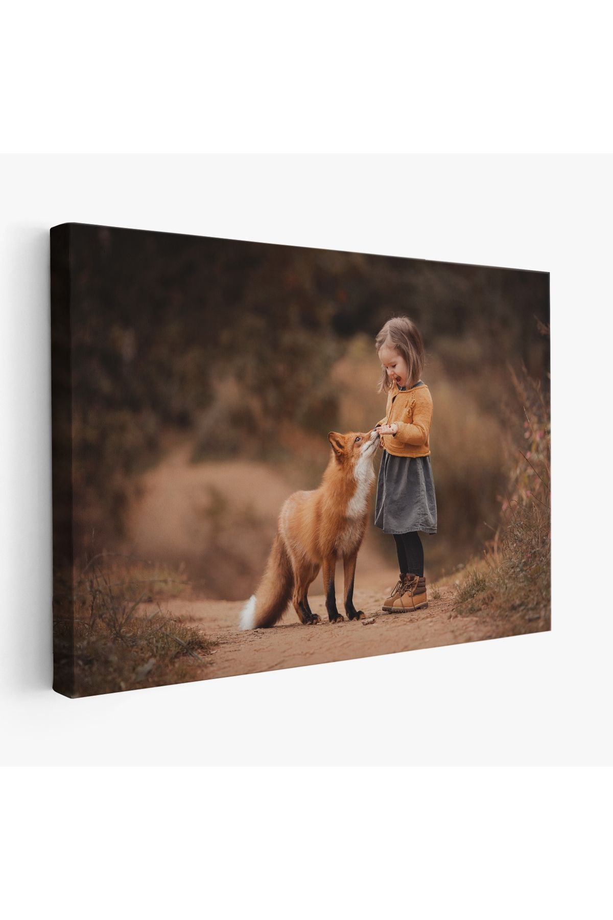 HG Küçük Kız ve Tilki Dekoratif Kanvas Tablo 1147