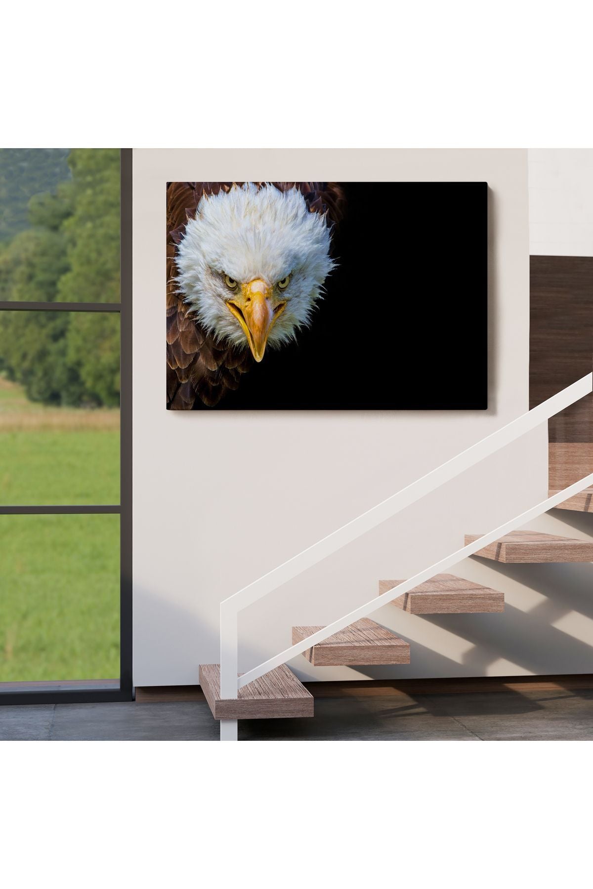 Kartal Dekoratif Kanvas Tablo 1132