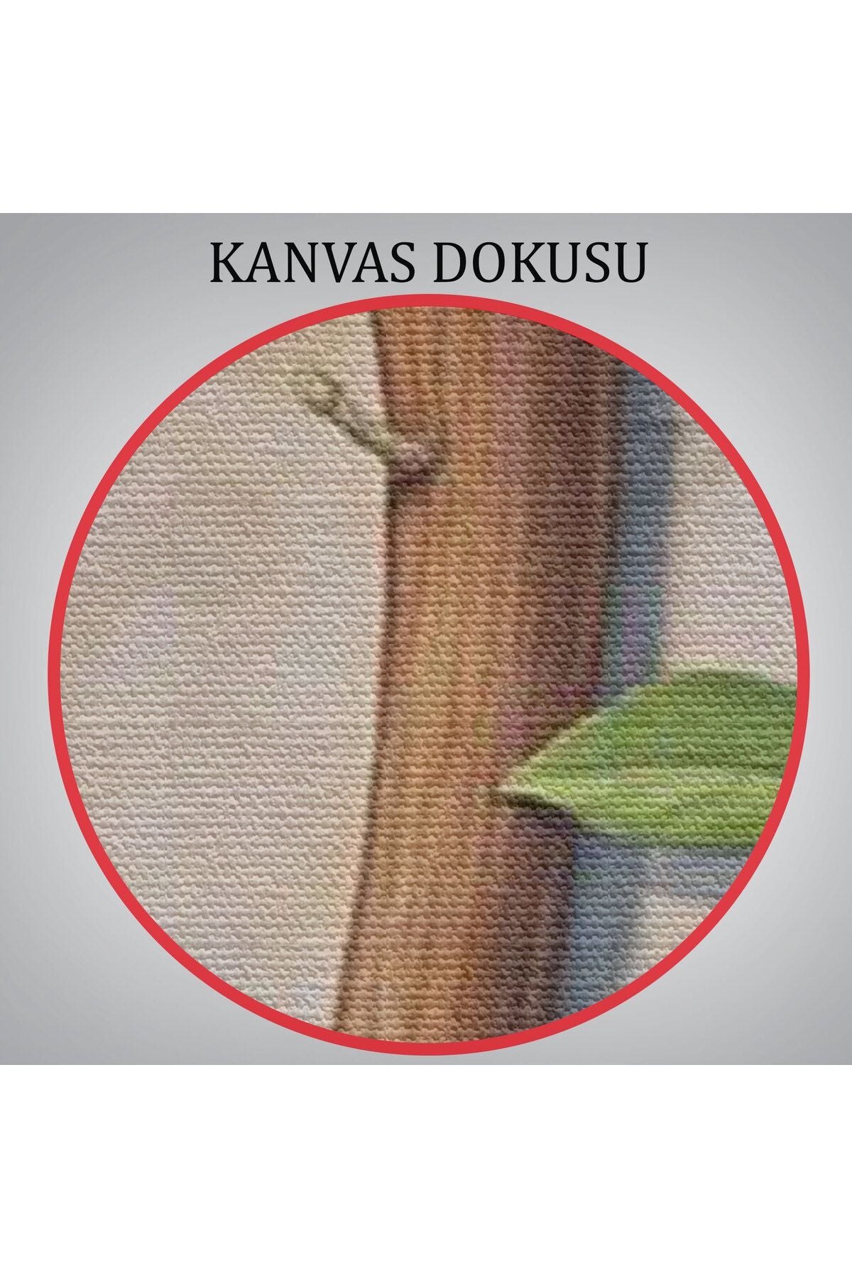 Çiçek Açan Batla Gerçeküstü Sanat Kanvas Tablo-5860