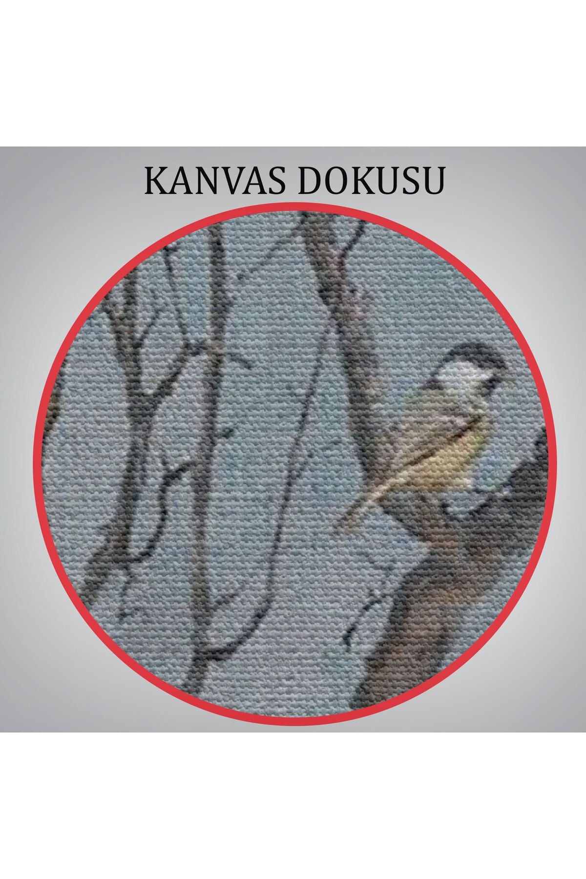 Geyik Boynuzları Üzerinde Renkli Kuşlar Tablosu-5863