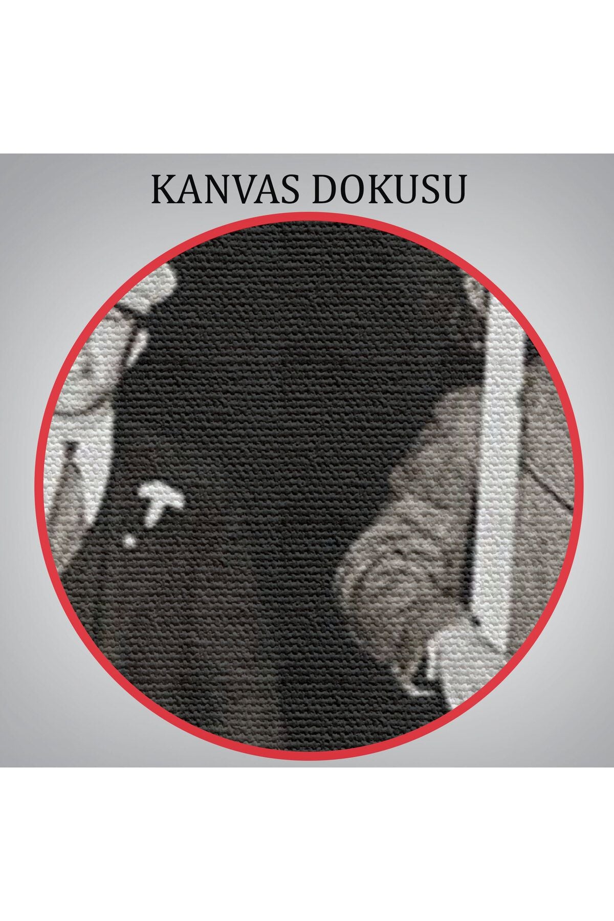 DB  Bira İstiyoruz, Olağandışı 1931 Yasak Protesto Fotoğrafı Kanvas Tablo-5336