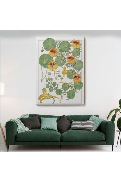arg001 seri Nasturtium Çiçeği Kanvas Tablo-5206