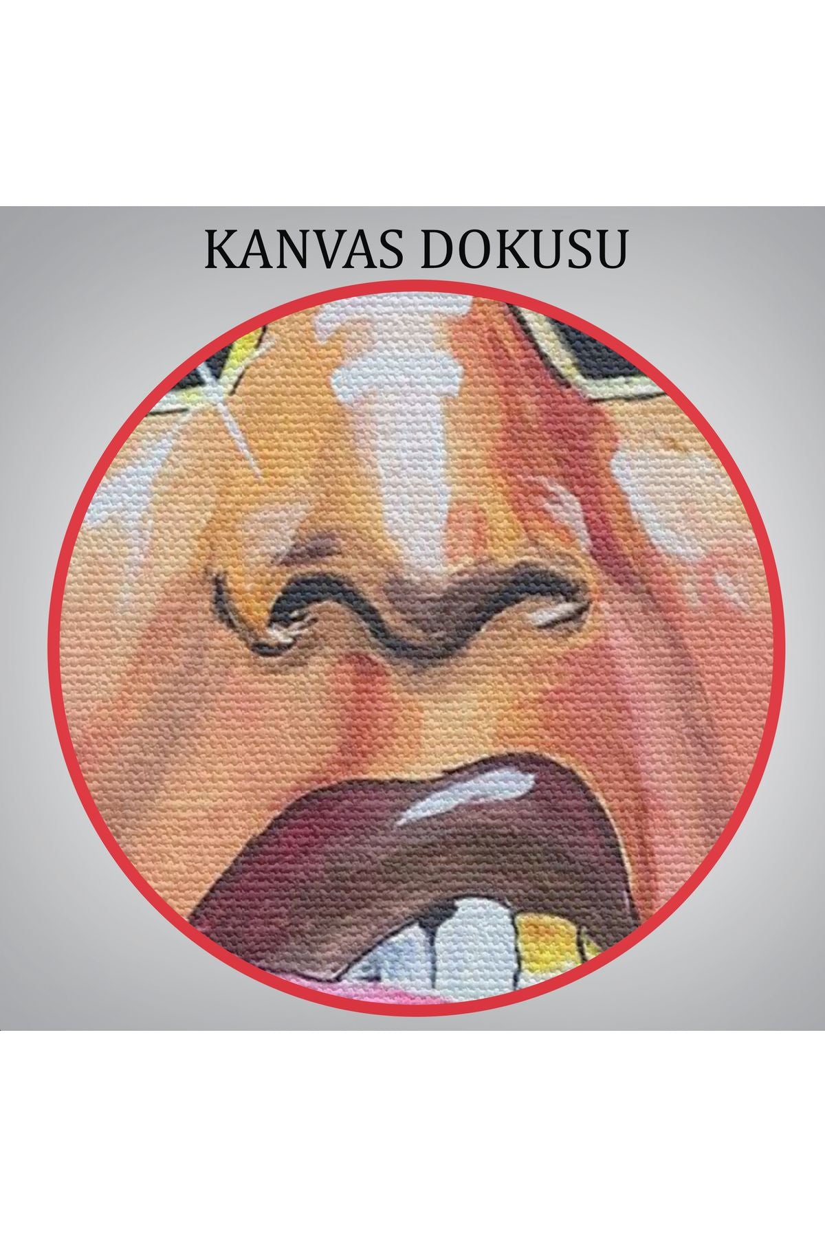 HG Beyonce Kanvas Tablo-5120