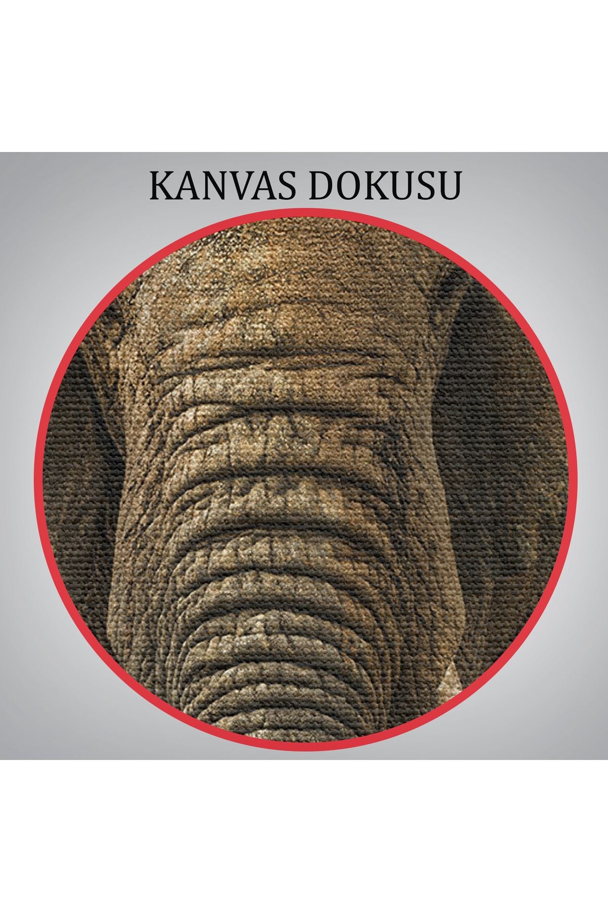 Fil Dekoratif Kanvas Tablo 1121