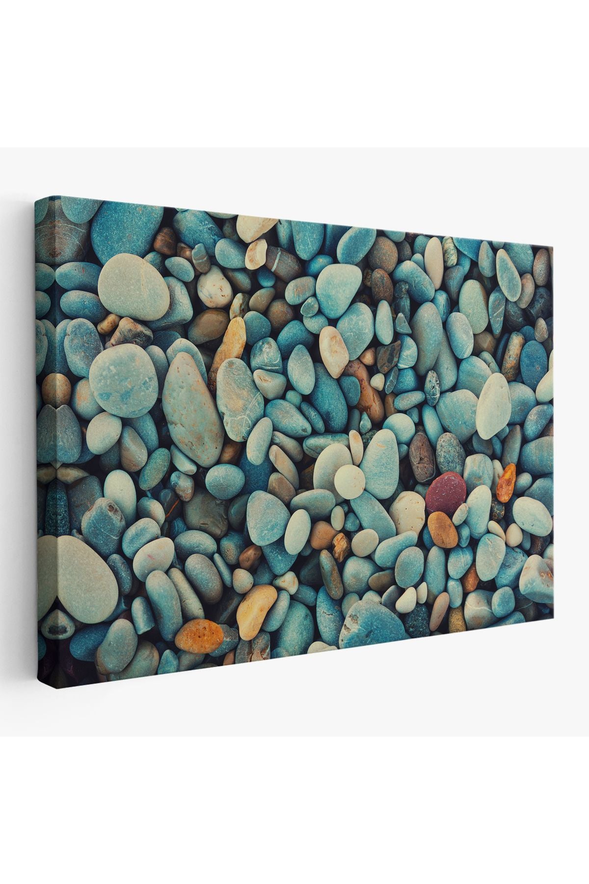 Deniz Taşı Dekoratif Kanvas Duvar Tablosu-3495