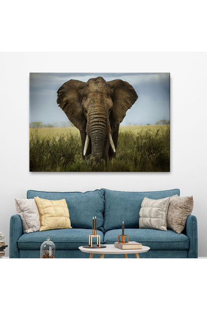 Fil Dekoratif Kanvas Tablo 1121