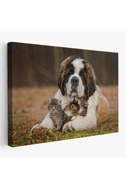 YB St. Bernard Köpek ve Yavru Kediler Dekoratif Kanvas Tablo 1124