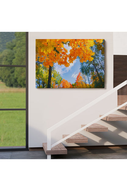 Sarı Yapraklı Sonbahar Manzarası Duvar Tablosu-1236
