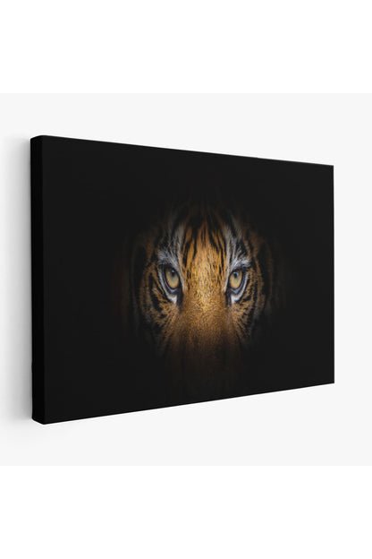 DB Kaplan Gözleri Dekoratif Kanvas Tablo 1161