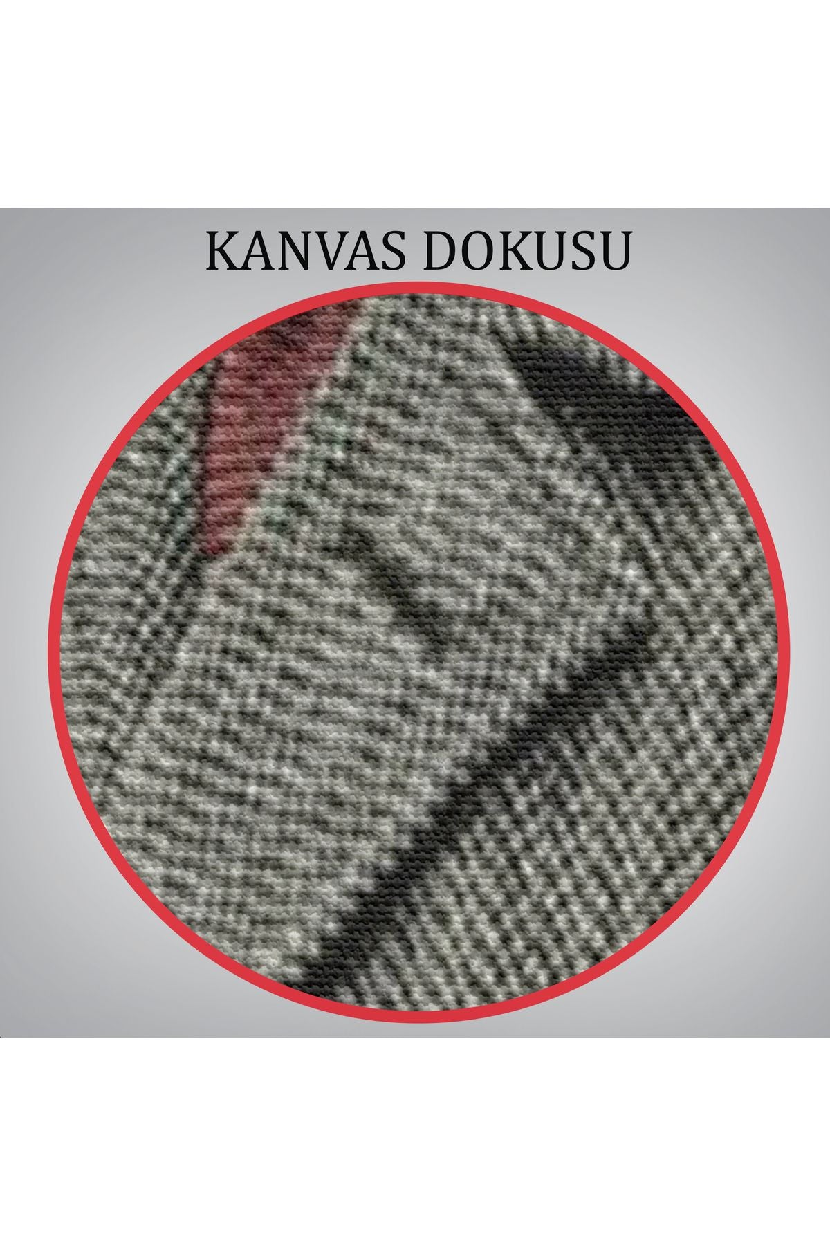 Mustafa Kemal Atatürk Paltolu Fotoğrafı Duvar Tablosu-6199