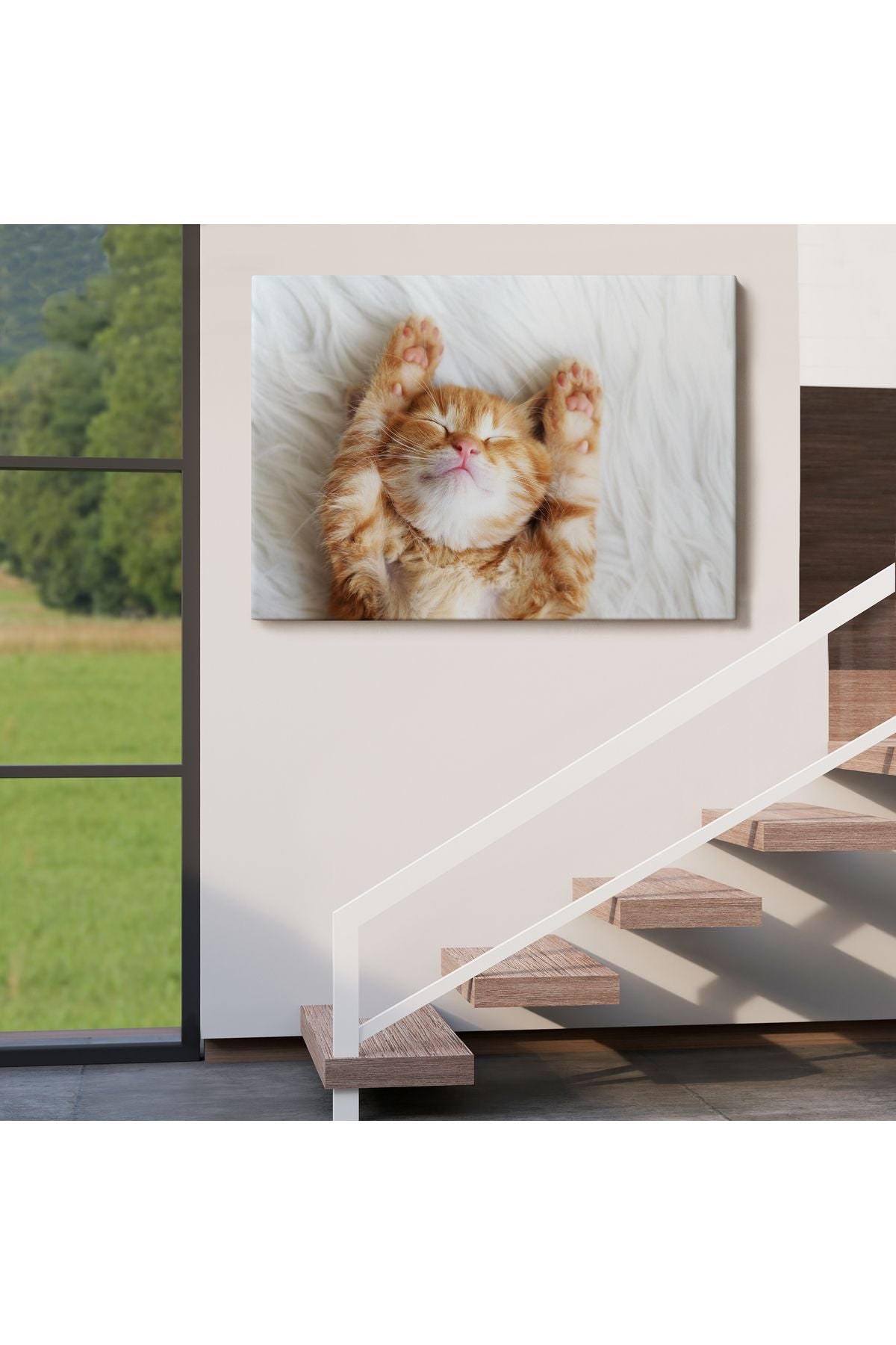 arg001 seri Yavru Kedi Dekoratif Kanvas Tablo 1125