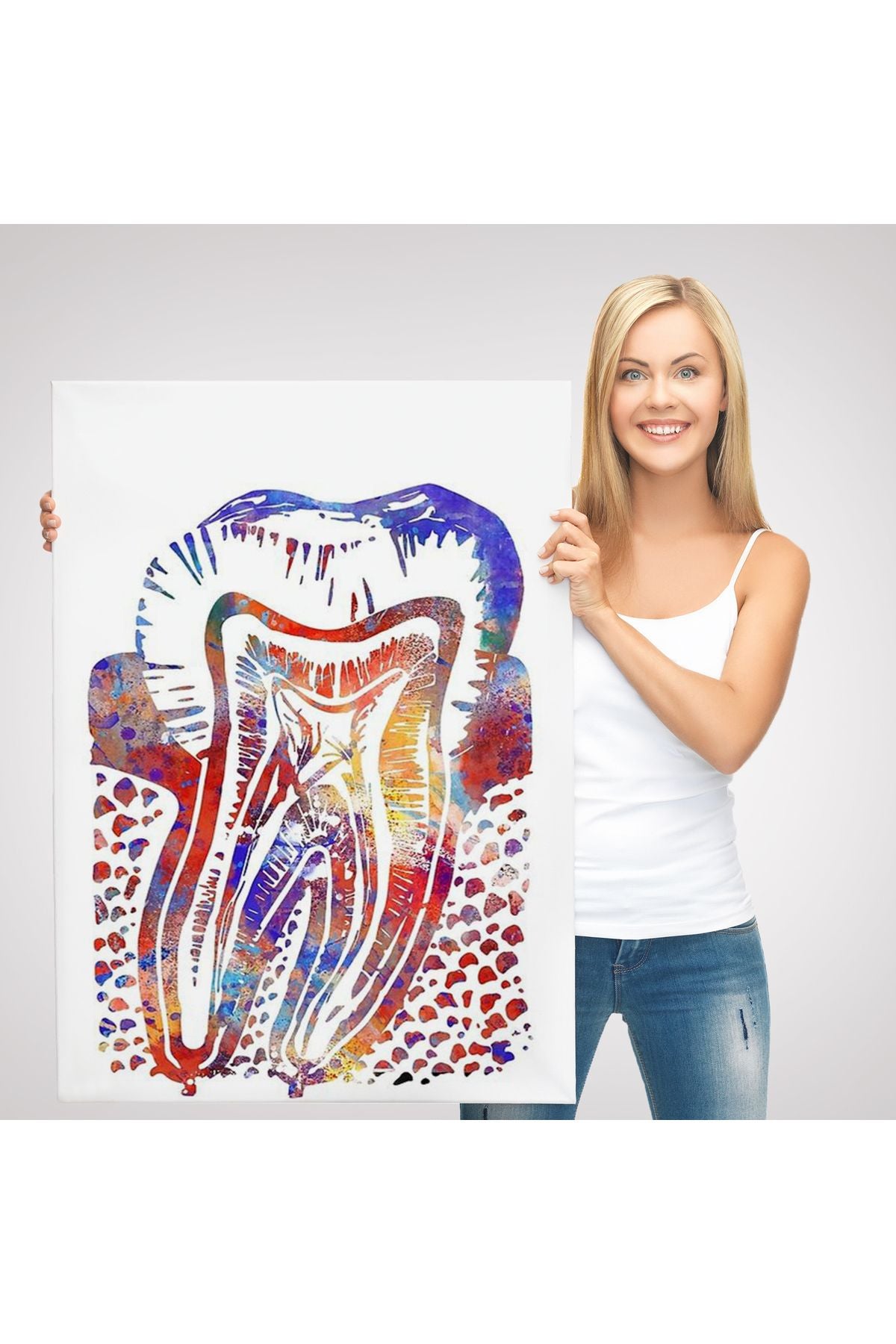 Suluboya Diş Anatomisi Tablosu-6020