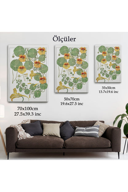 arg001 seri Nasturtium Çiçeği Kanvas Tablo-5206