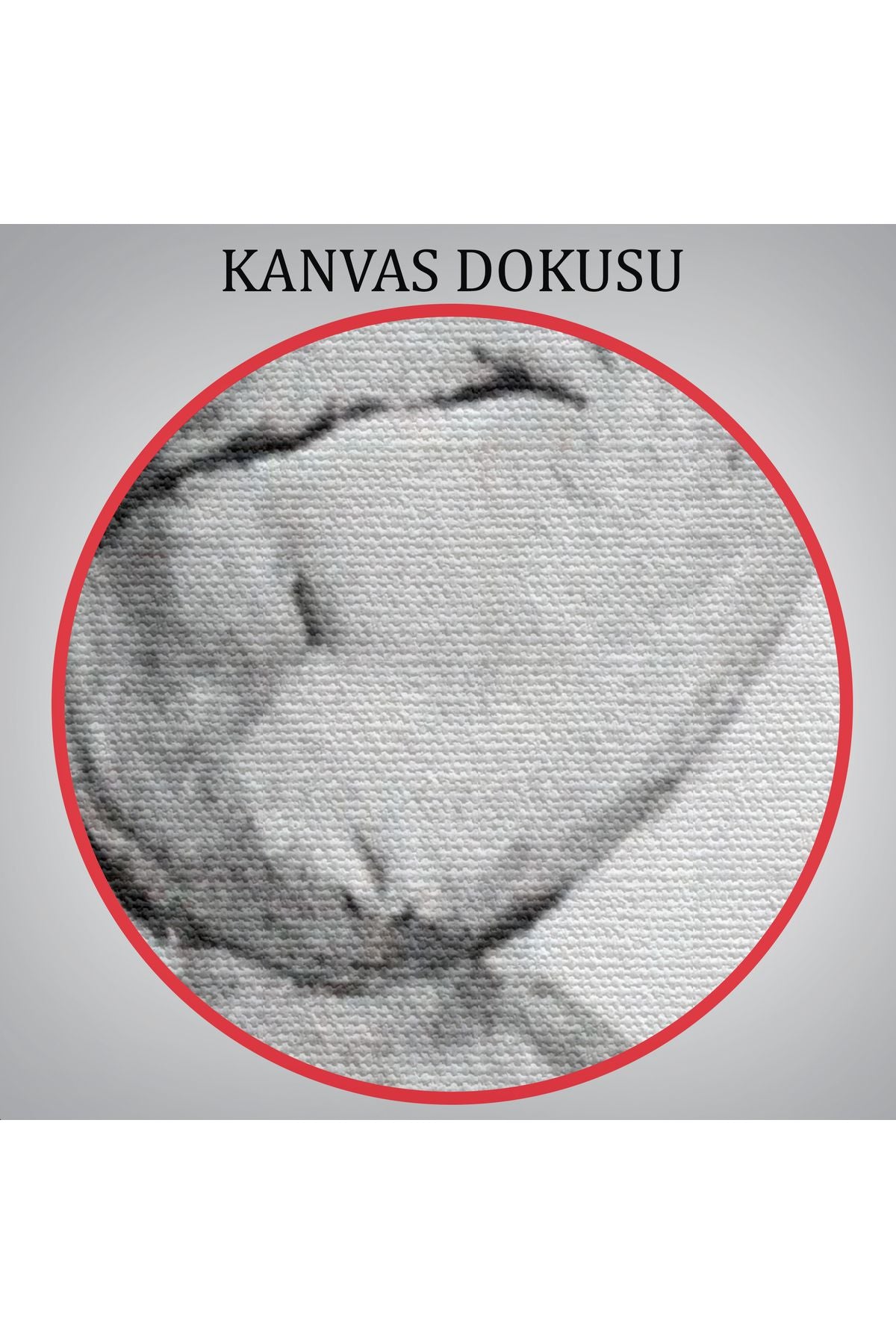 Arthur Schopenhauer Tablosu -6266