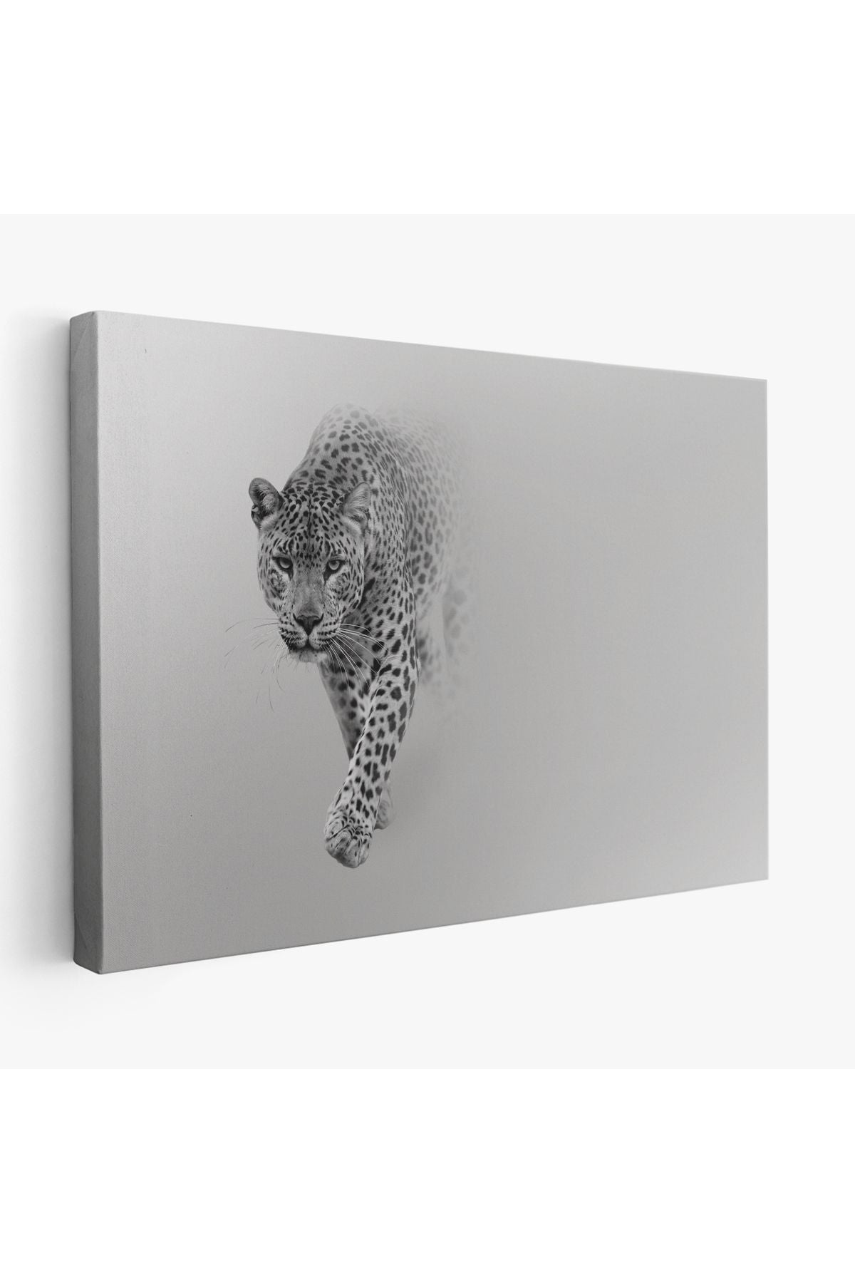 Leopar Dekoratif Kanvas Tablo 1154