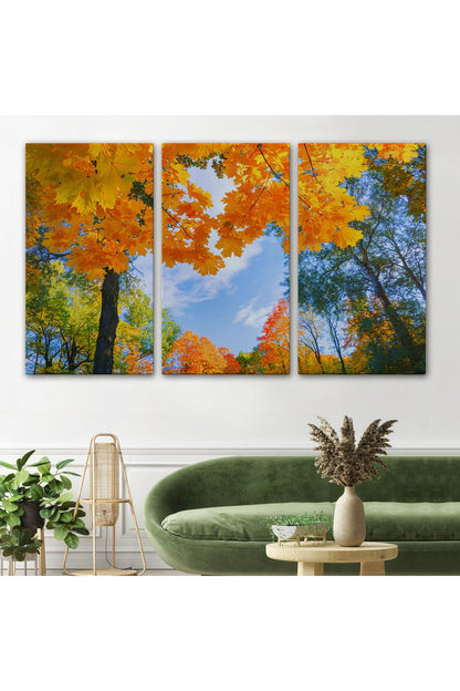 Sarı Yapraklı Sonbahar Manzarası Duvar Tablosu-1236