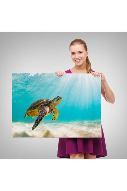 Caretta Caretta Dekoratif Kanvas Tablo 1174