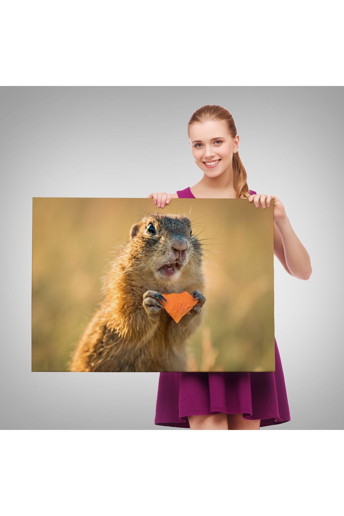 Şaşkın Sincap Dekoratif Kanvas Tablo 1158