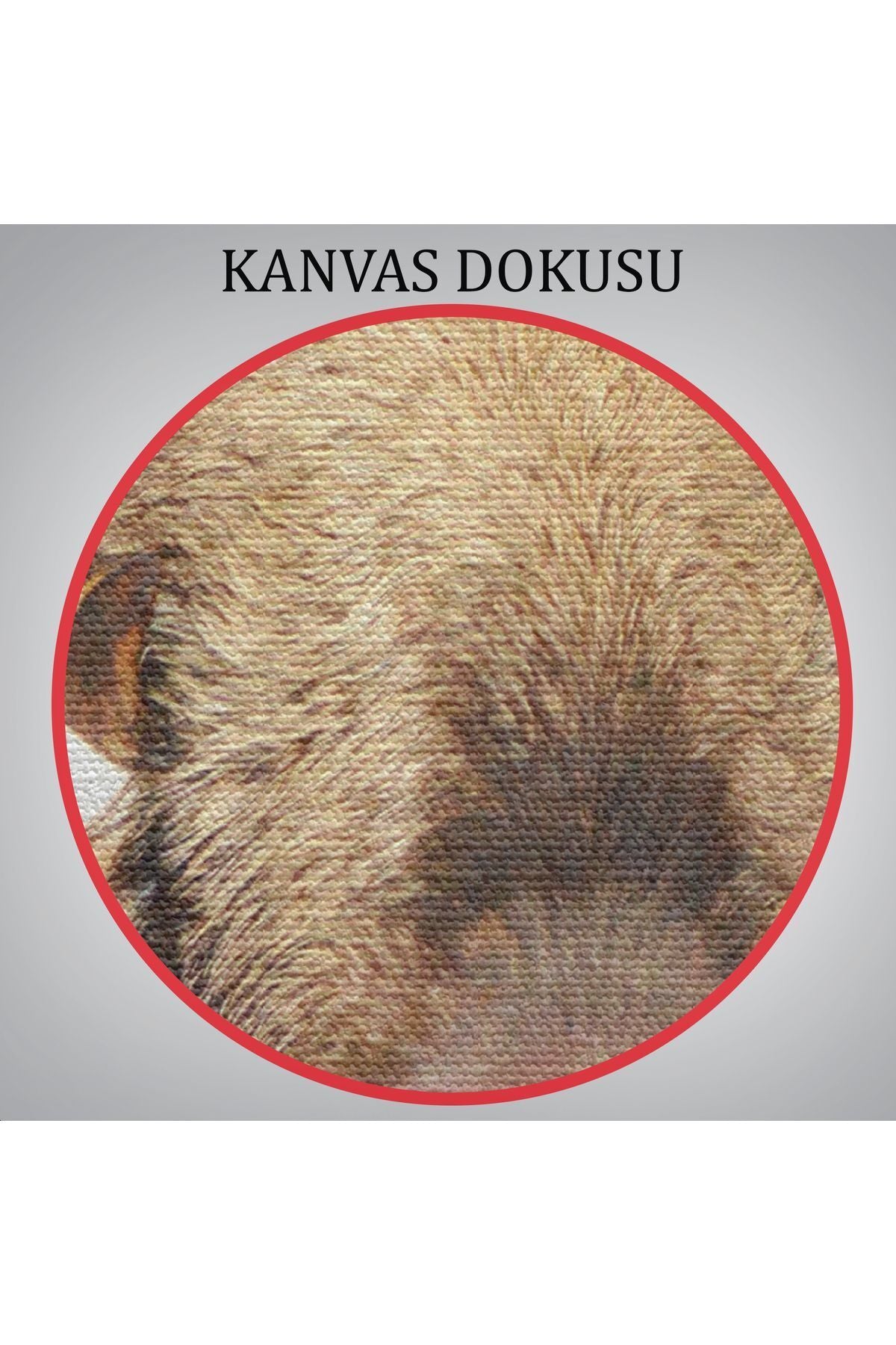 arg001 seri Domuz Kafalı İnsan Kanvas Tablo-4987