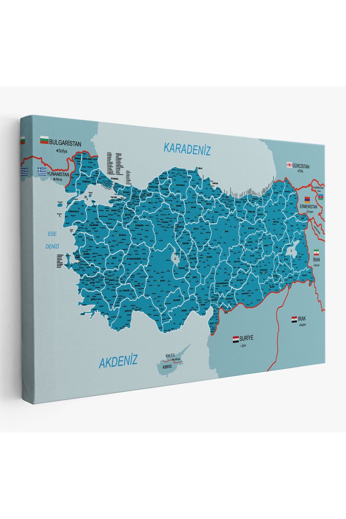 Türkiye Haritası Kanvas Tablo İl ve İlçeli Ayrıntılı Eğitici Komşulu Tablo 3003