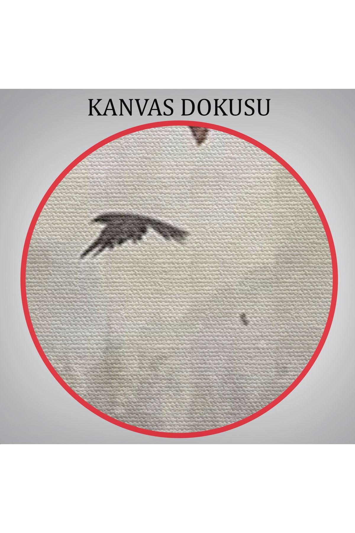 Süpürge ile Uçan Cadı, Cadılar Bayramı Helloven Duvar Tablosu -6159