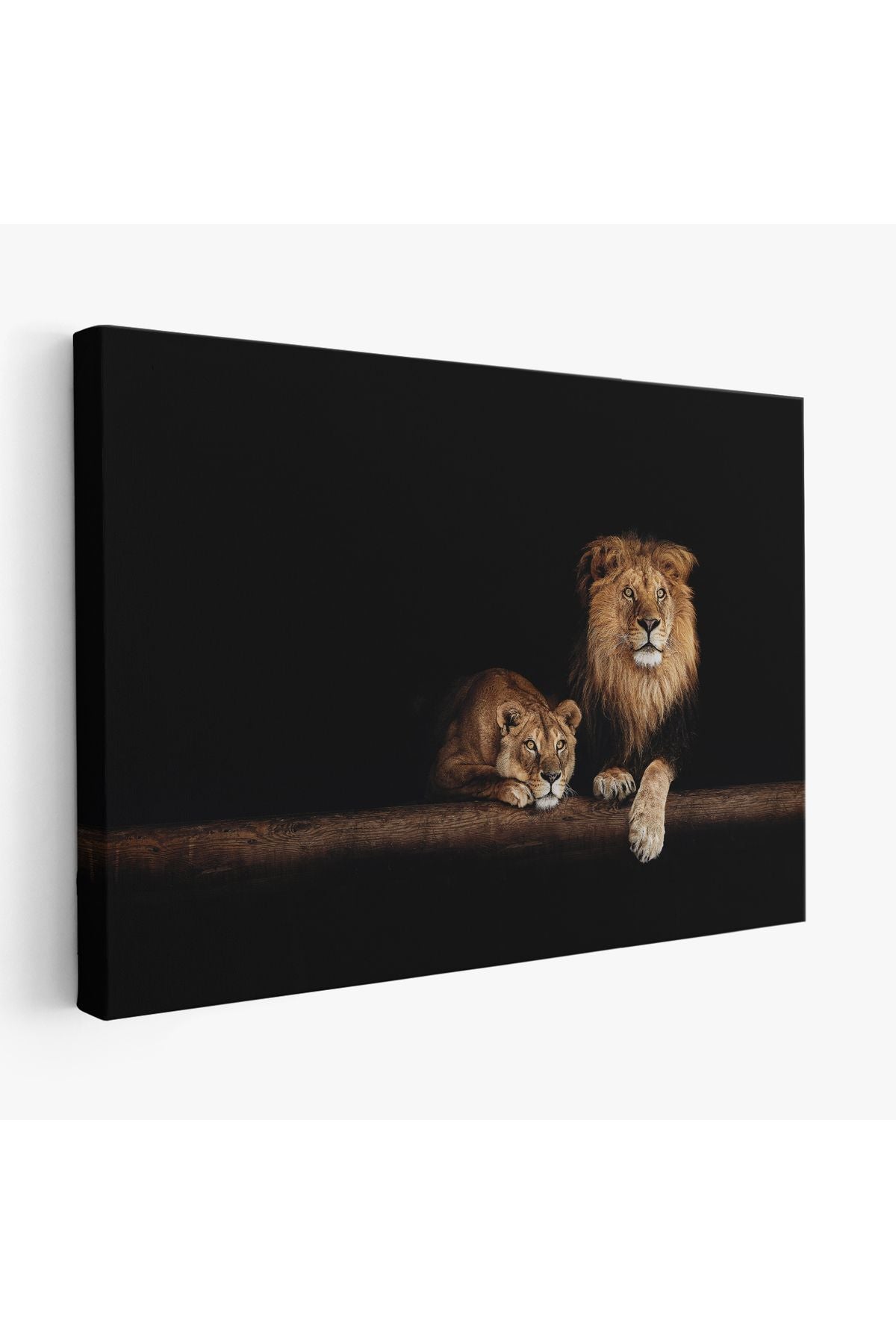 Aslanlar Dekoratif Kanvas Tablo 1151