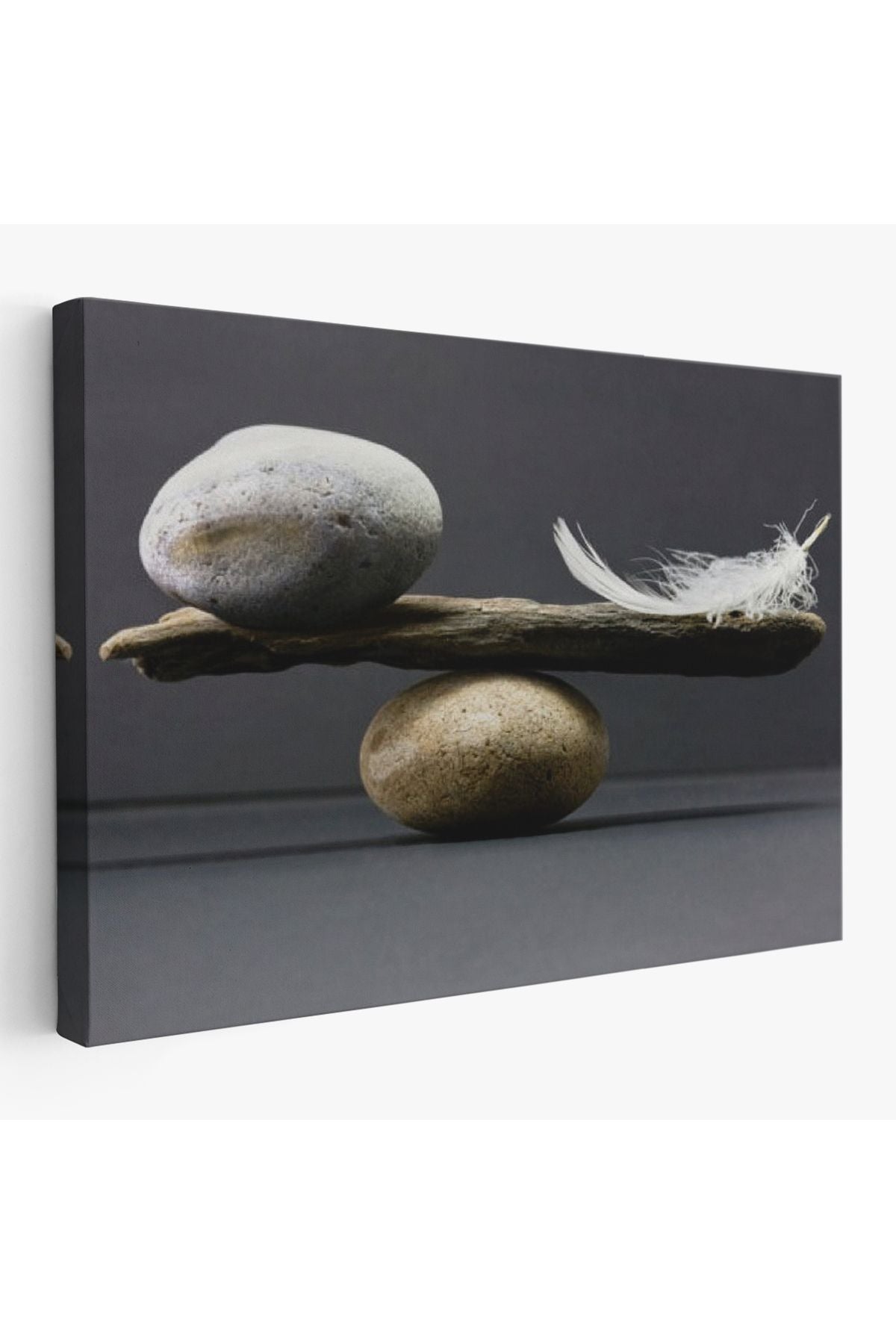 Taş ve Tüy Dengesi Tuval Duvar Sanatı, Tuval Baskı Ev Dekorasyon, Ofis Dekorasyon-5375