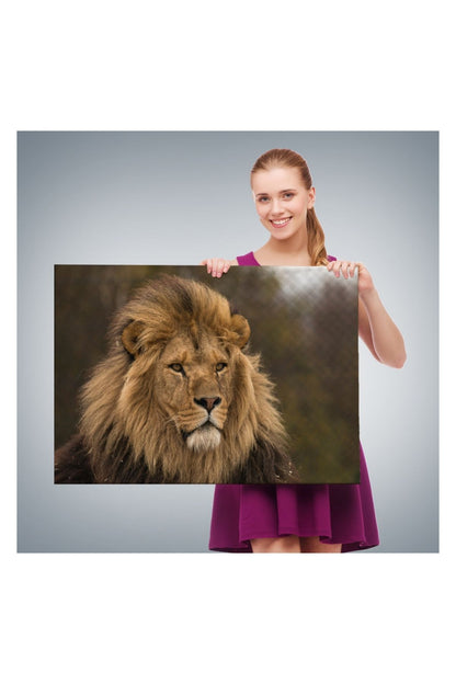 Kanvas Tablo, Duvar Dekoru, Aslan, Hayvan Temalı 1159 BUNGKNV