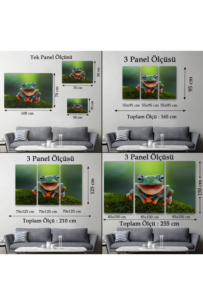 Renkli Gülen Kurbağa Dekoratif Kanvas Tablo 1149