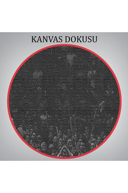 Stephen Curry Kanvas Tablo-5144