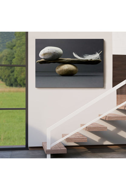 Taş ve Tüy Dengesi Tuval Duvar Sanatı, Tuval Baskı Ev Dekorasyon, Ofis Dekorasyon-5375