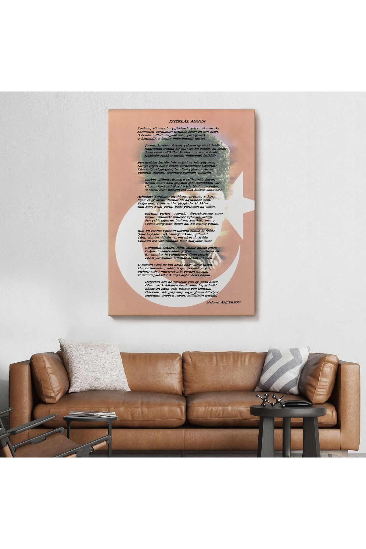 DB İstiklal Marşı Dekoratif Duvar Tablosu-6466