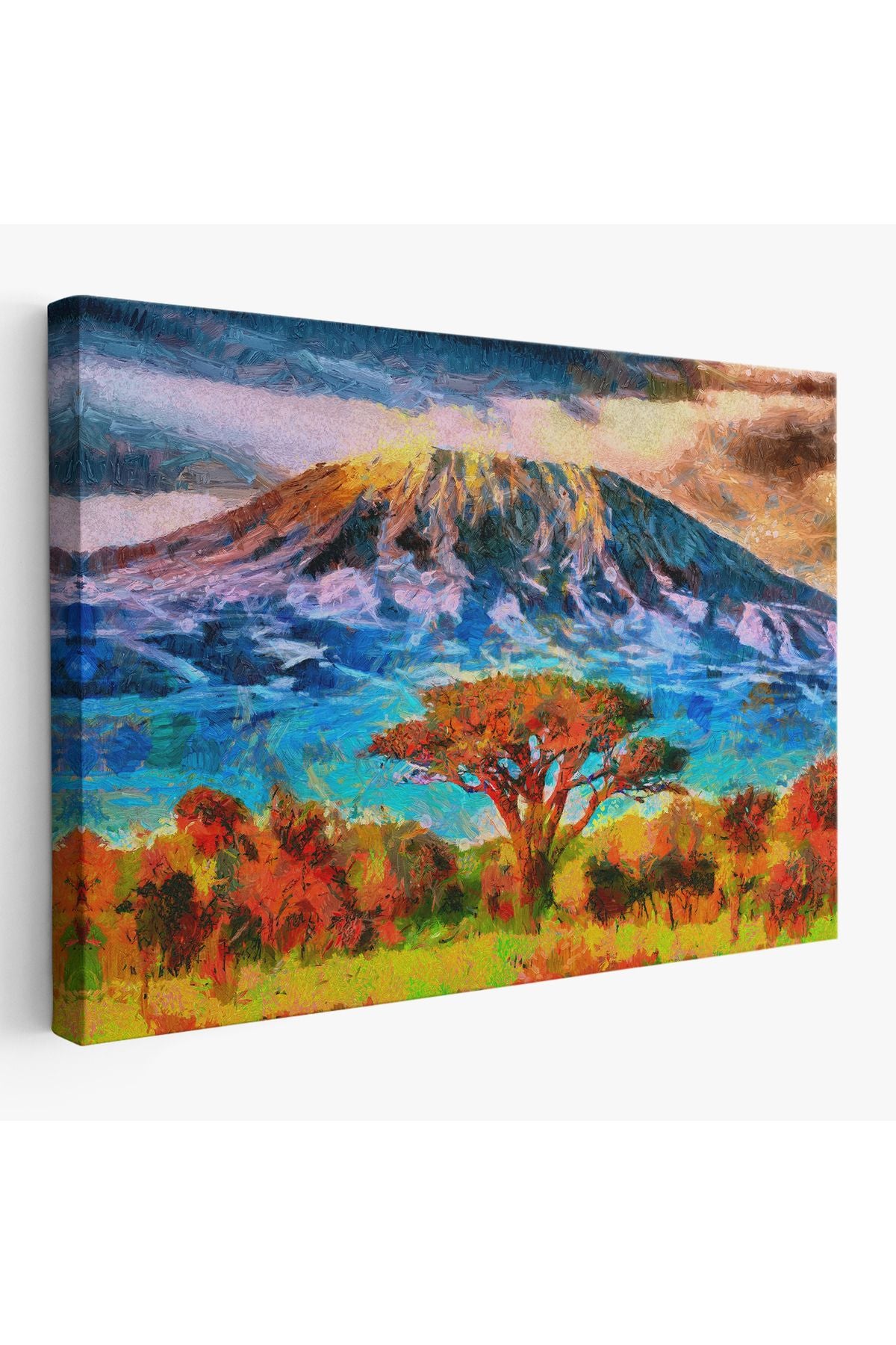 Tanzanya Kilimanjaro Dağı Manzarası Duvar Tablosu-3480
