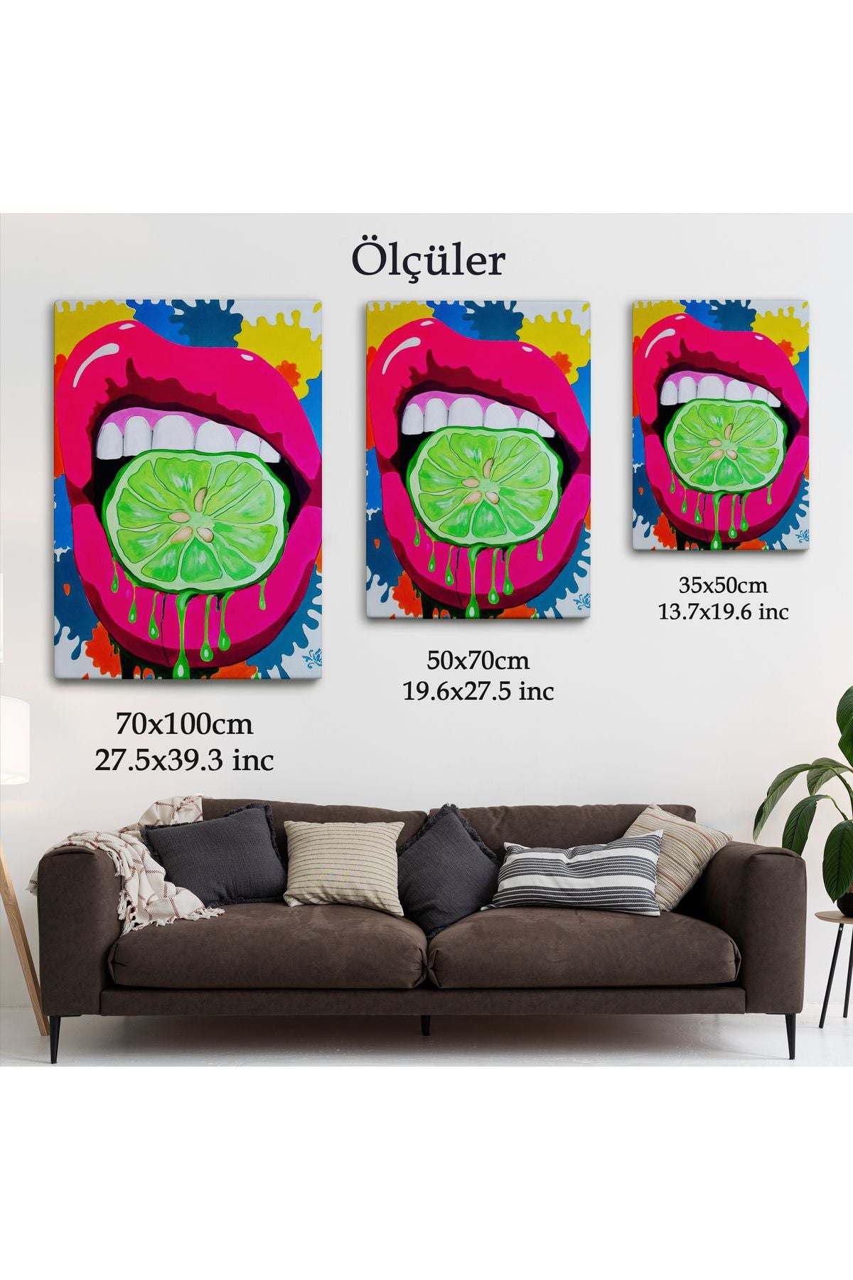 Pop Art, Sokak Sanatı Renkli Dekoratif Duvar Tablosu-6127