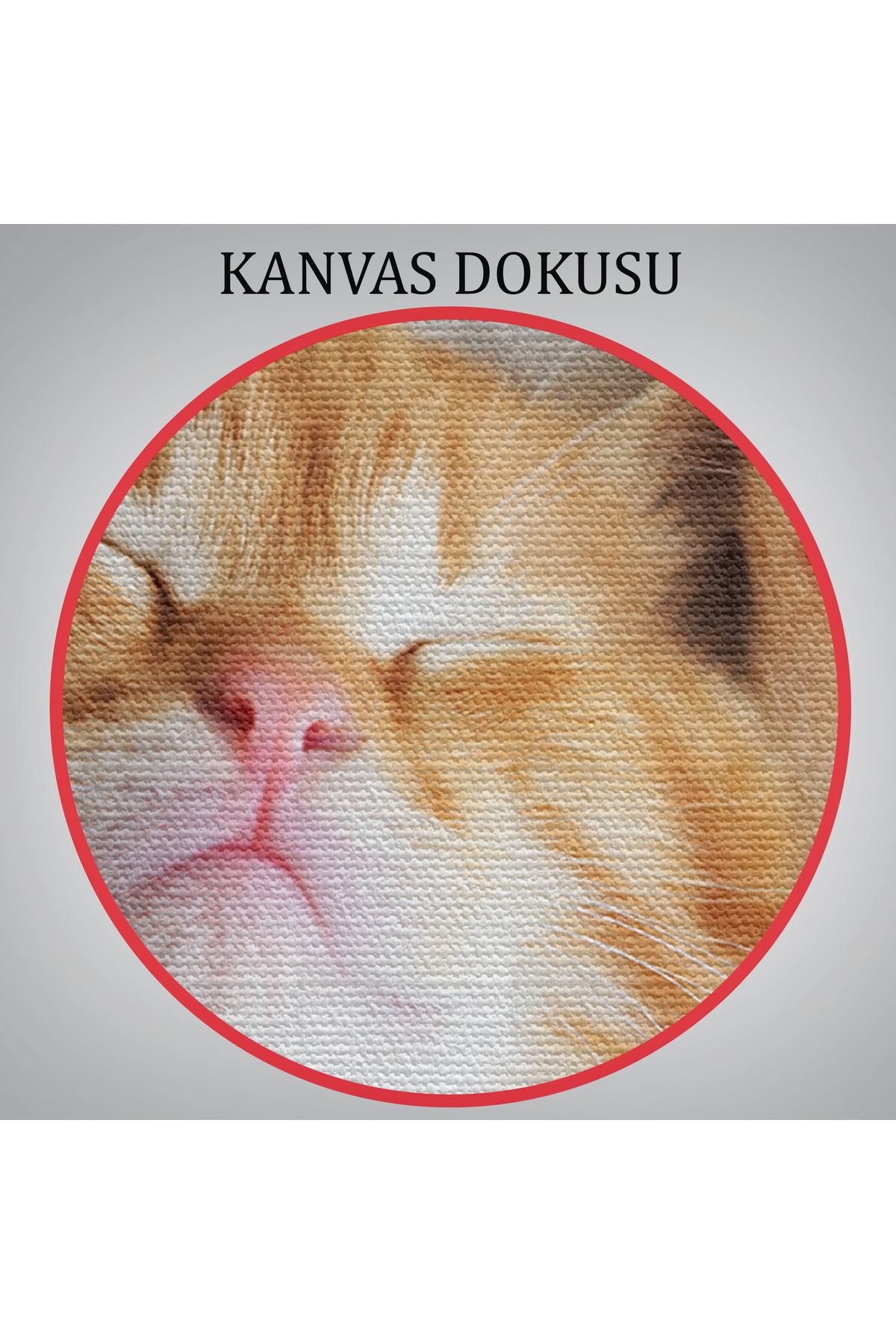 arg001 seri Yavru Kedi Dekoratif Kanvas Tablo 1125